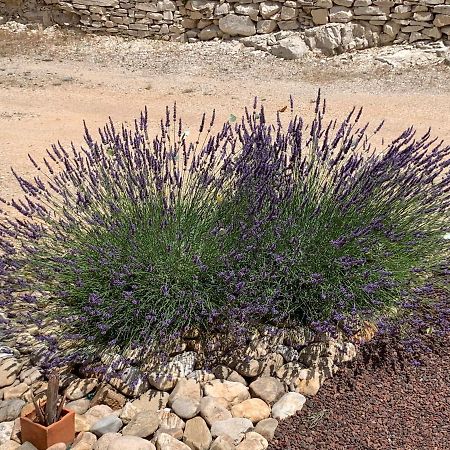 Au Fil Des Cevennes Bed and Breakfast Saint-Jean-de-Maruéjols-et-Avéjan Εξωτερικό φωτογραφία