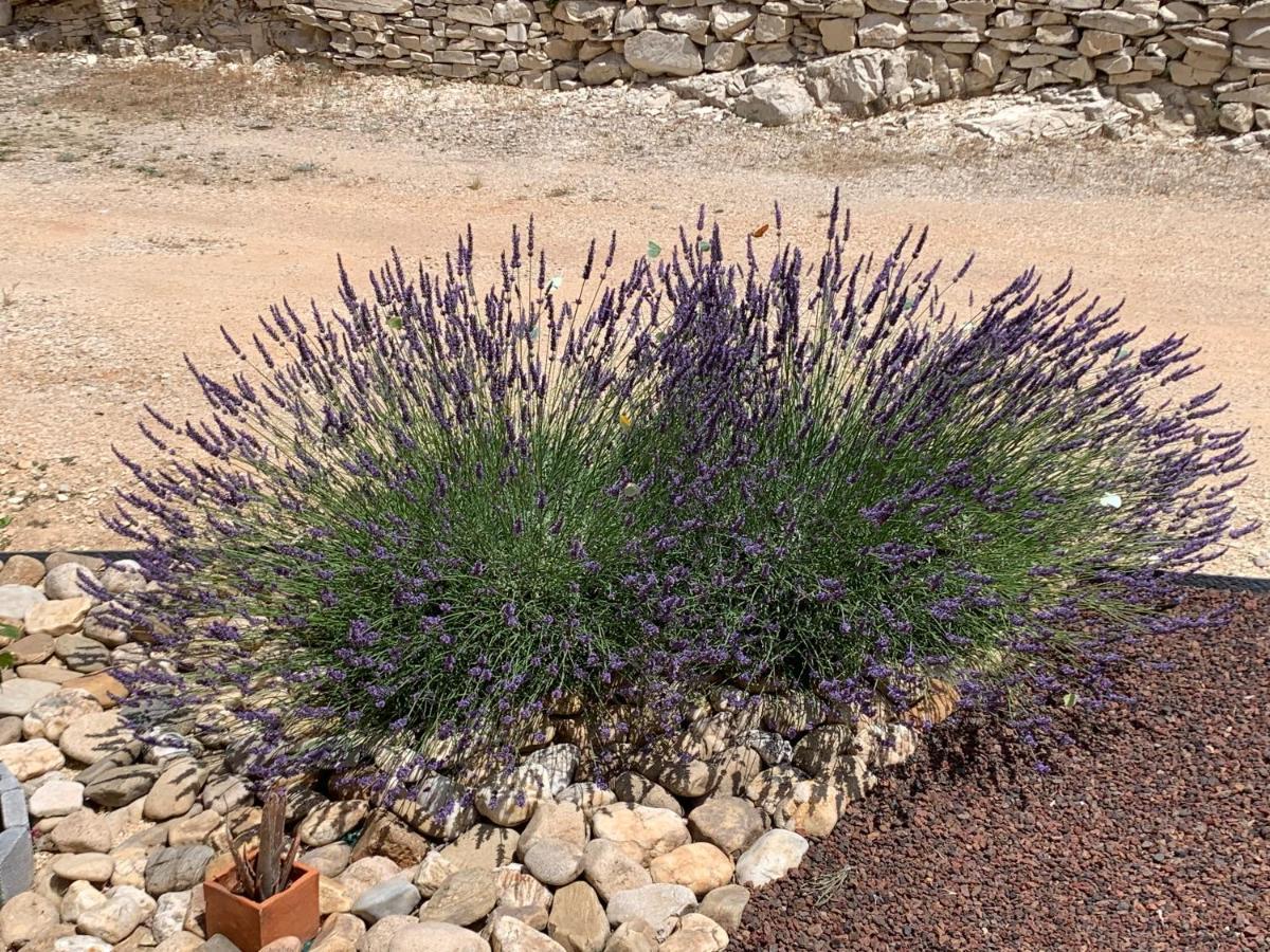 Au Fil Des Cevennes Bed and Breakfast Saint-Jean-de-Maruéjols-et-Avéjan Εξωτερικό φωτογραφία